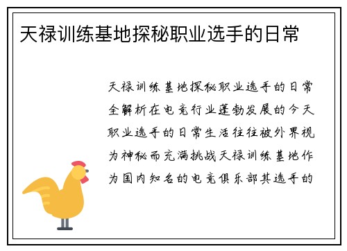 天禄训练基地探秘职业选手的日常