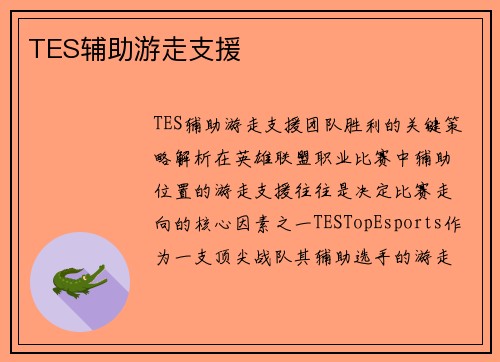 TES辅助游走支援