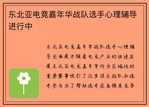东北亚电竞嘉年华战队选手心理辅导进行中